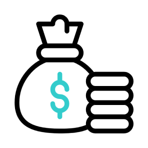 Info Icon
