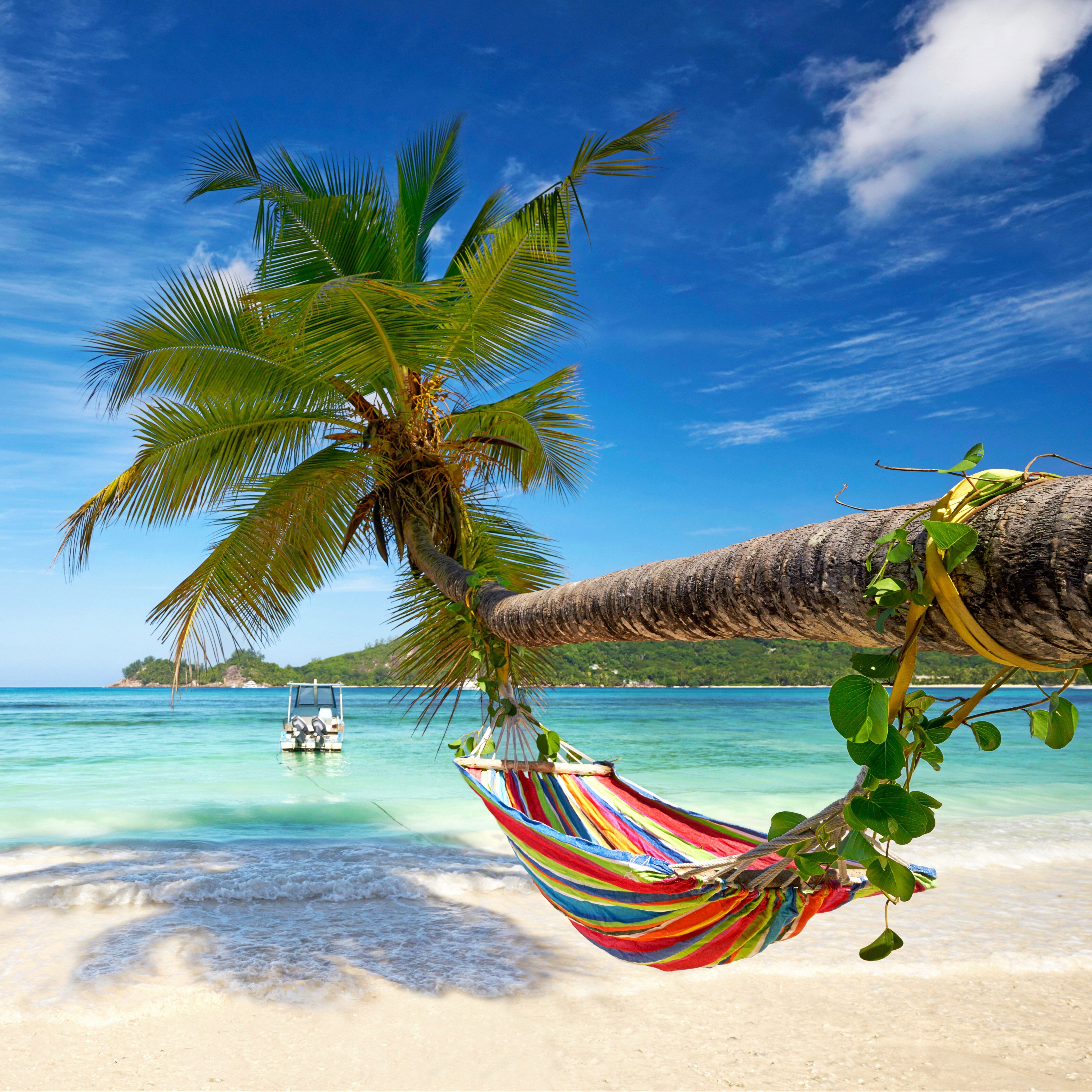 AdobeStock_143167897-1